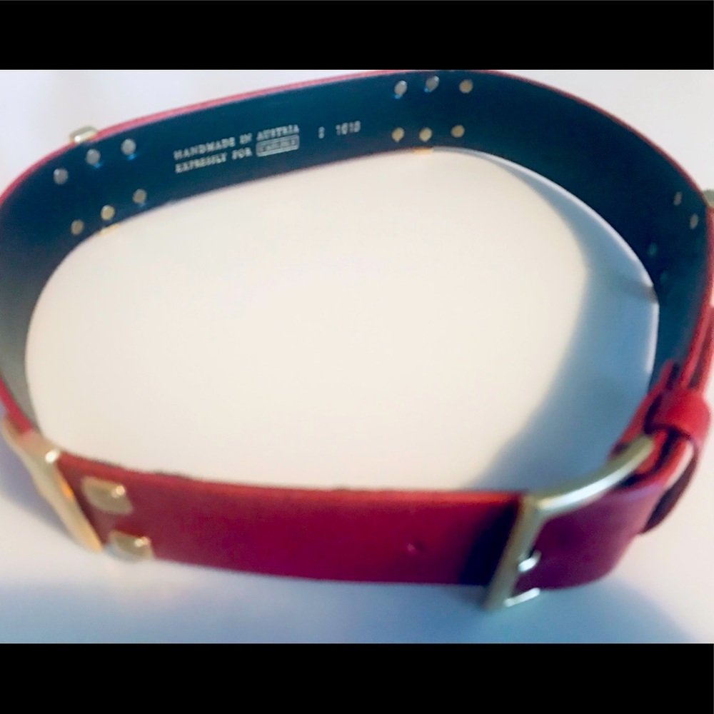 Carlisle belt